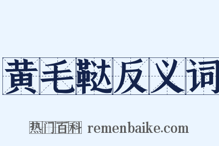 黄毛鞑反义词是什么意思的图片